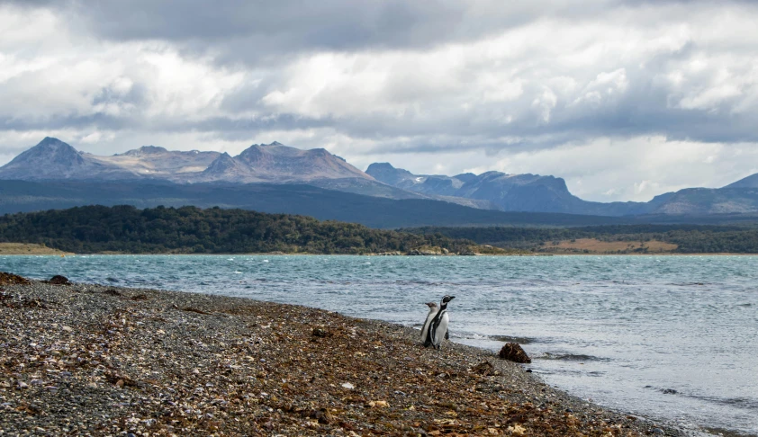 there is an image of a mountain view from a beach