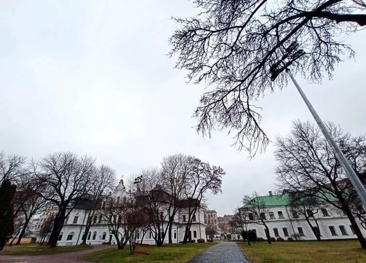 a long view of a tree lined street