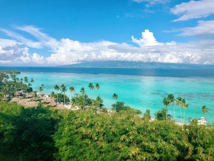 a beautiful beach with green trees and clear blue water