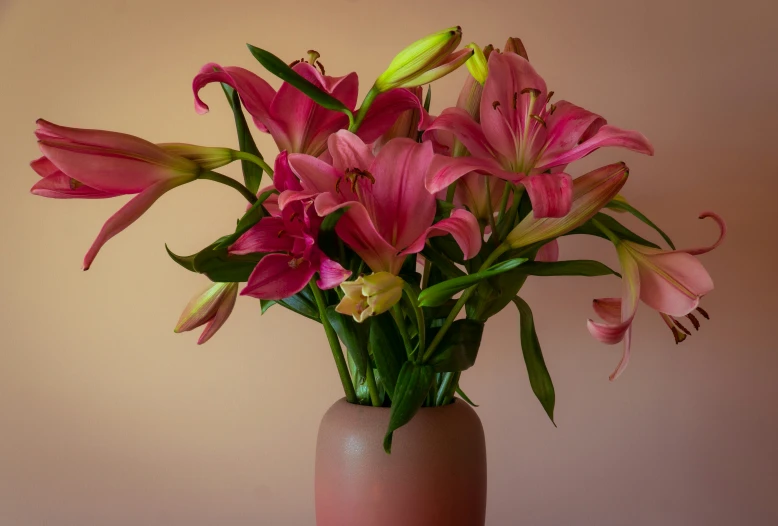 there are pink flowers in a brown vase