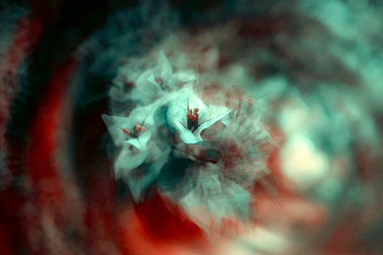 blurred red and white flowers in an intricate picture