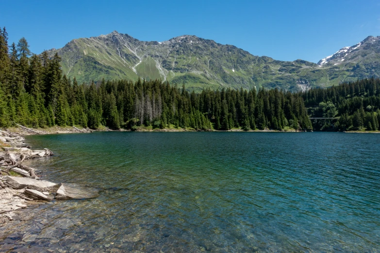 some green trees and water and mountains