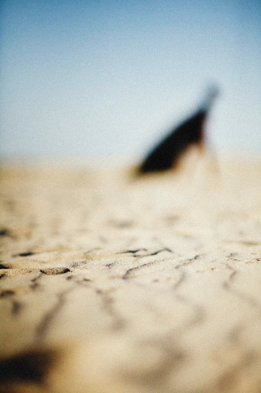 an image of a beach from the sand with a blurry umbrella