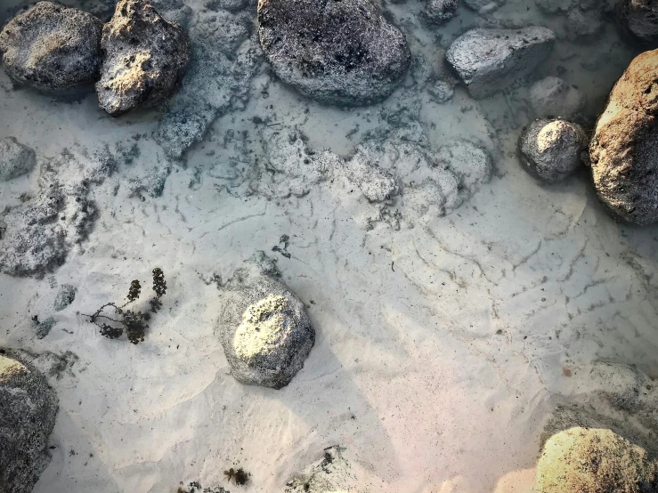 rocks, seaweed, and sand along the ocean's shoreline
