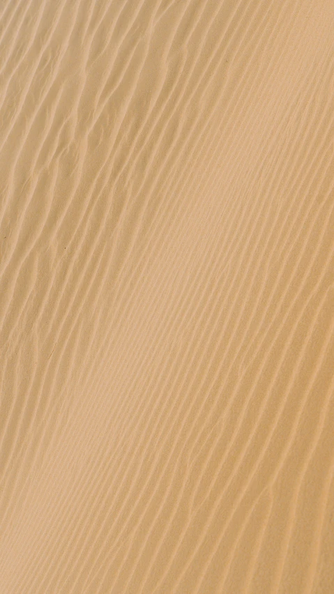 the sand is very tall and clean on this beach