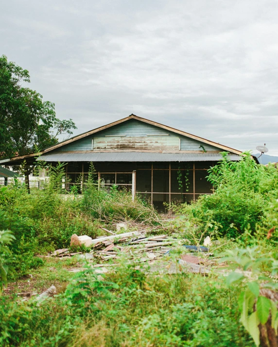 an old run down house is near overgrown plants