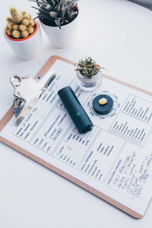 a pen sitting on top of a paper next to a cactus