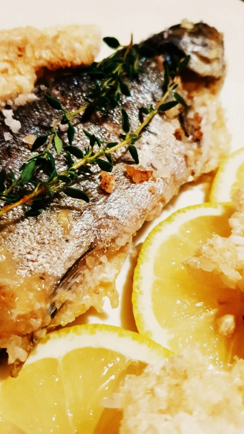 some cooked fish with lemon slices on the plate