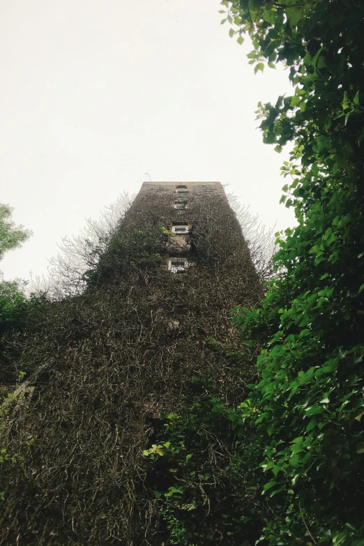 a large structure covered in leaves with faces are seen