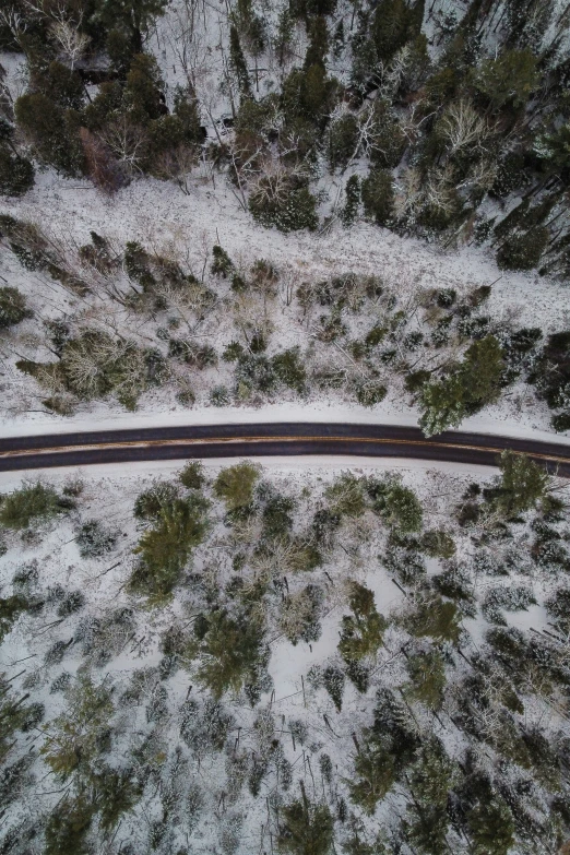 a snowy road in the middle of a field