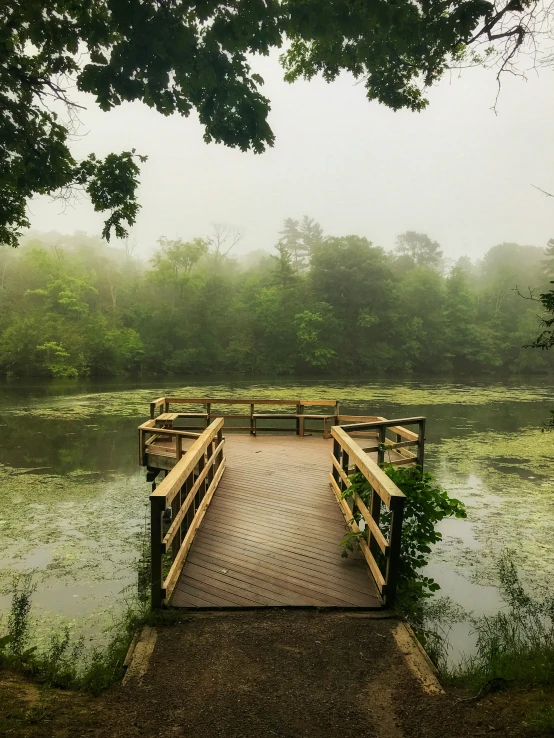 there is a bridge over water leading to a park