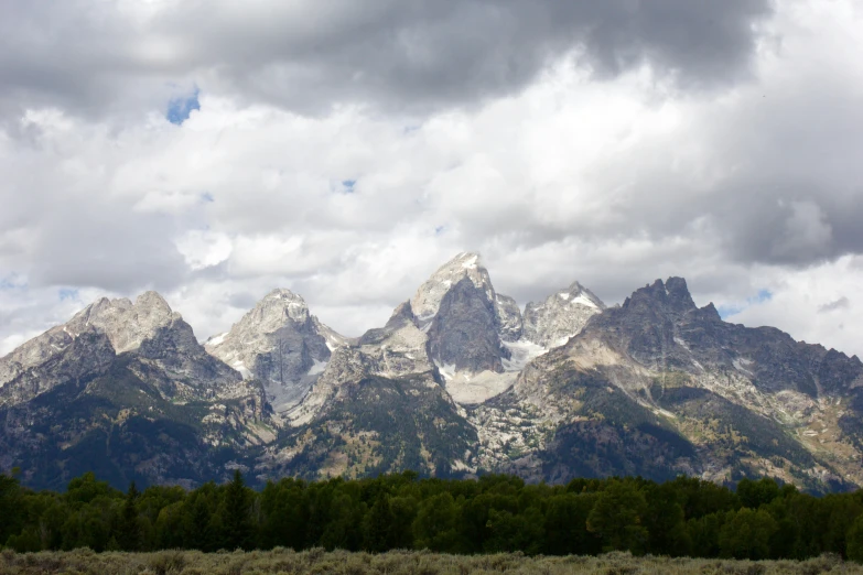 a large mountain range rises above an expanse of forest