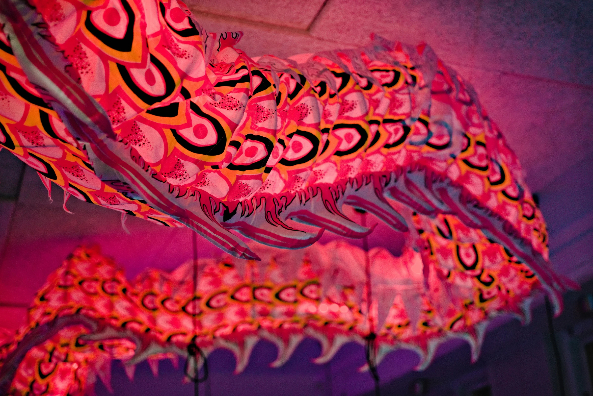 asian dragon lights on pink and purple walls