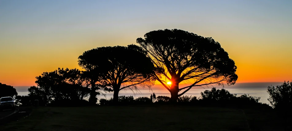 the sun setting behind trees near the ocean