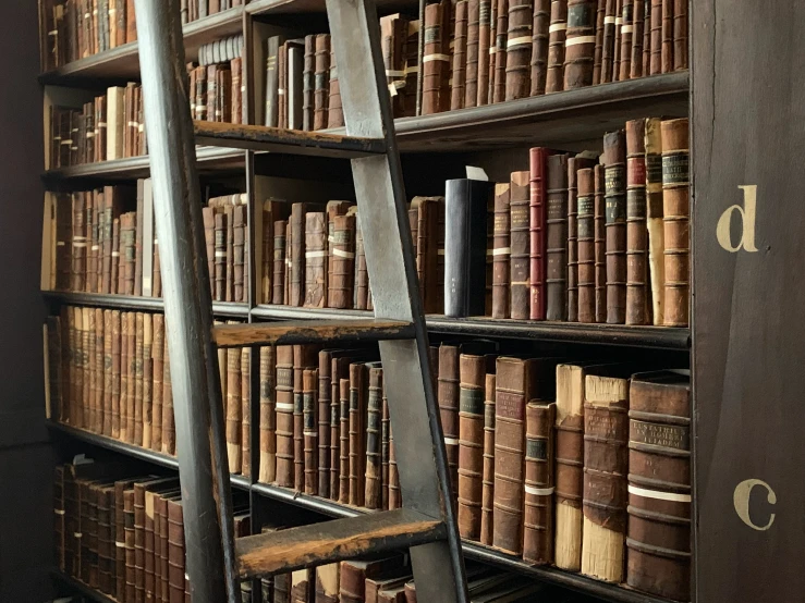 a wooden leaning ladder stands near the shelves full of books