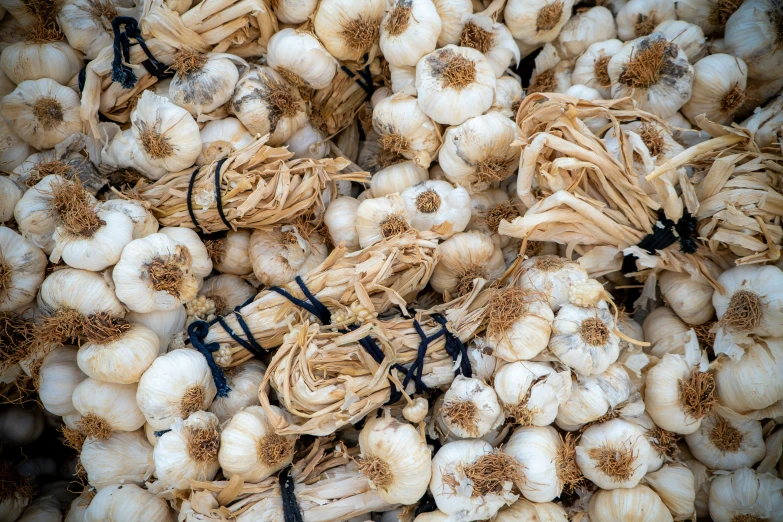 garlic stalks that are yellow and brown in color