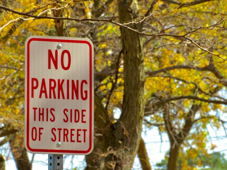 a red and white sign a tree and some yellow leaves