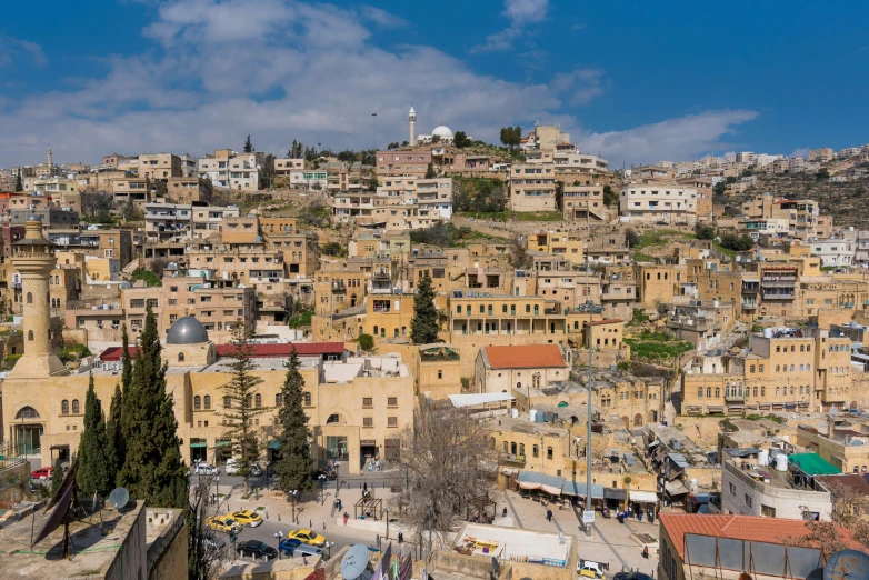 many houses and trees surrounding a city