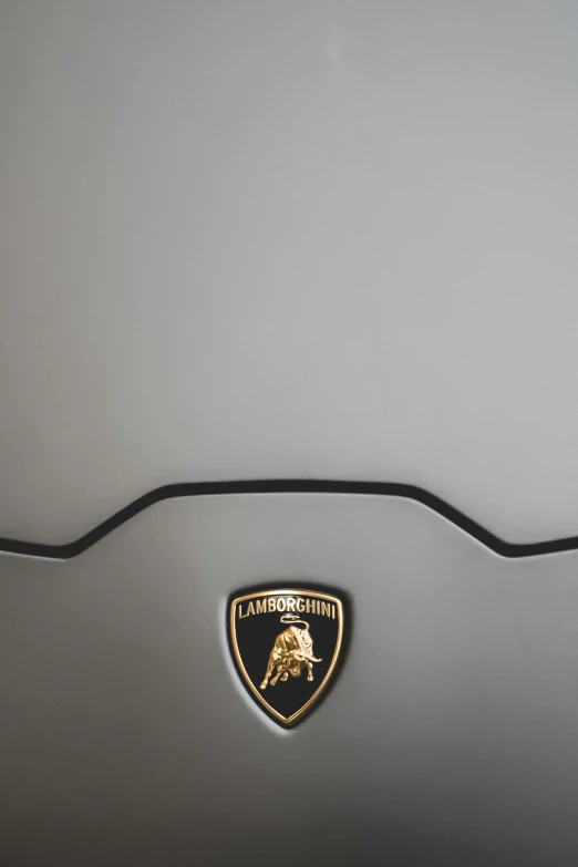 a badge on the side of a car