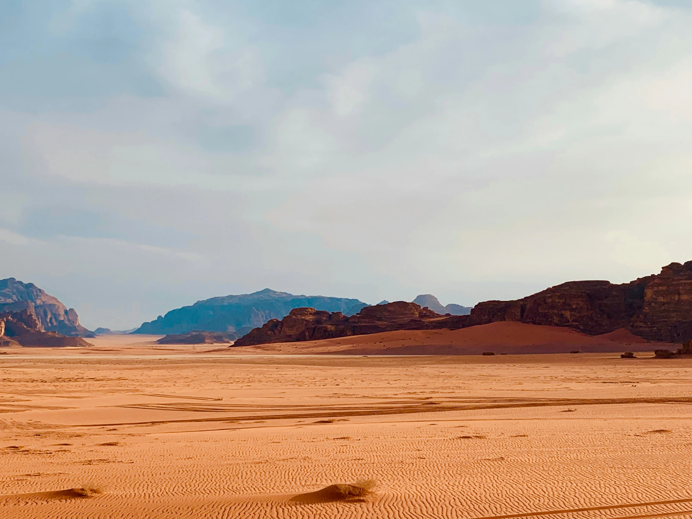 the beach has a very sandy terrain that is really sandy