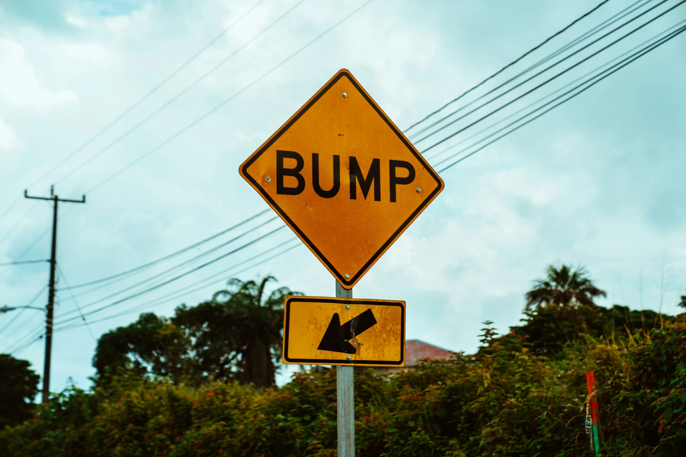 the street sign warns drivers of a bump on the right