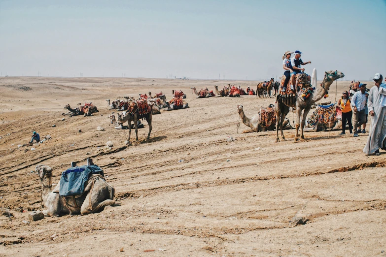 a couple of people riding on top of camels in the desert