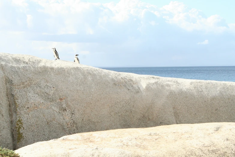 two people stand on a rock by the ocean