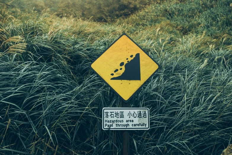 this sign shows an incline that seems to be falling
