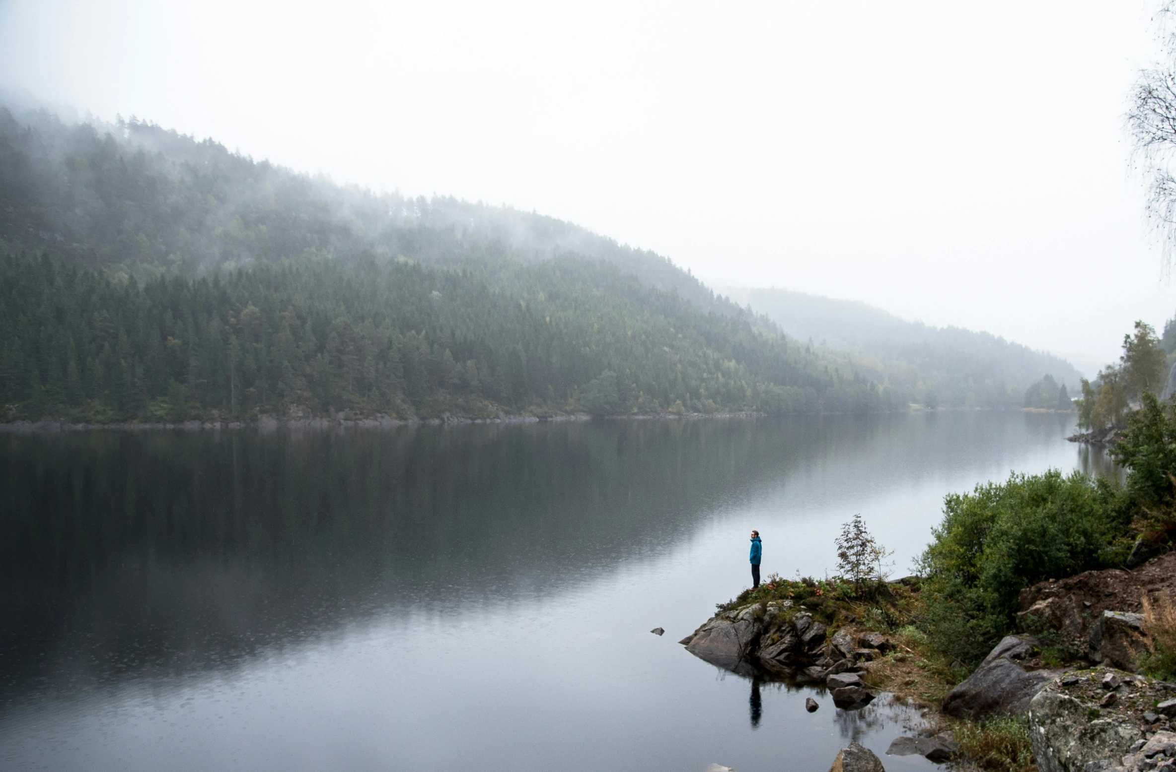 person looking out on the lake in the early morning