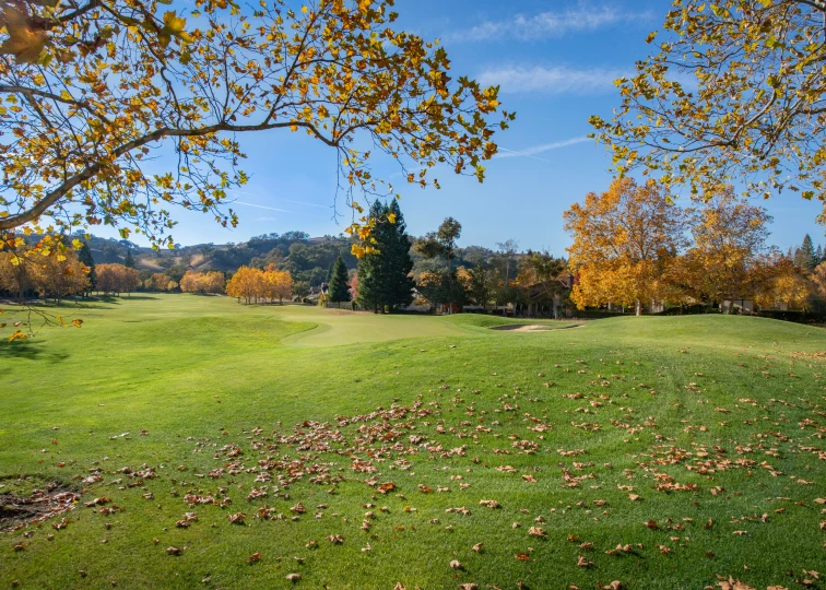 the trees and grass on this golf course are changing colors