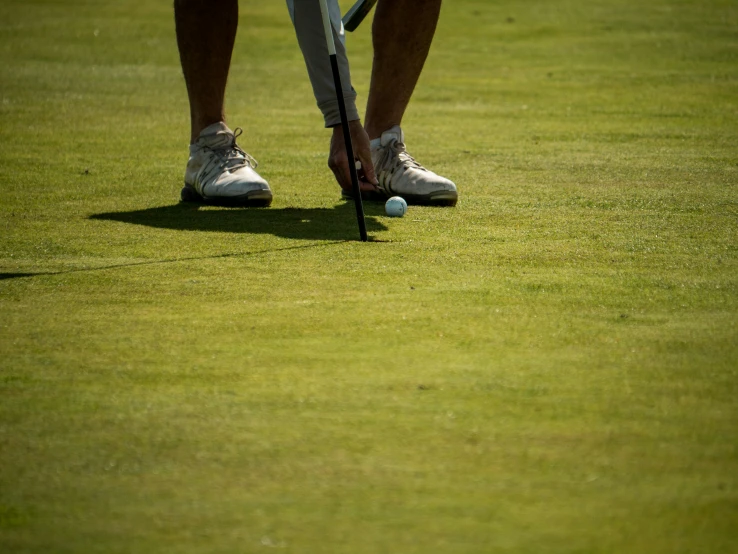 a person standing on top of a green covered grass field