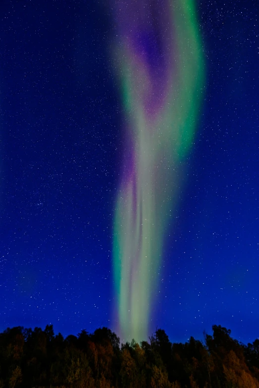 an image of the aurora bore with its bright lights in the sky