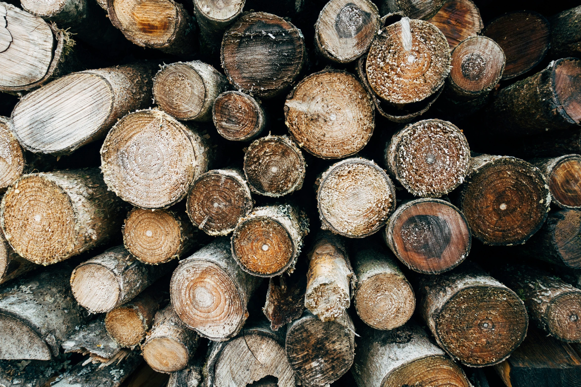 logs are stacked next to each other outside