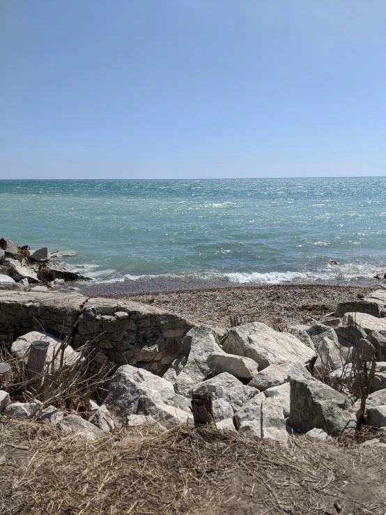 a lonely seagull sits on rocks on the shore