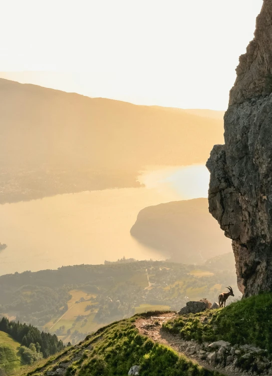 a person riding a bicycle on top of a hill