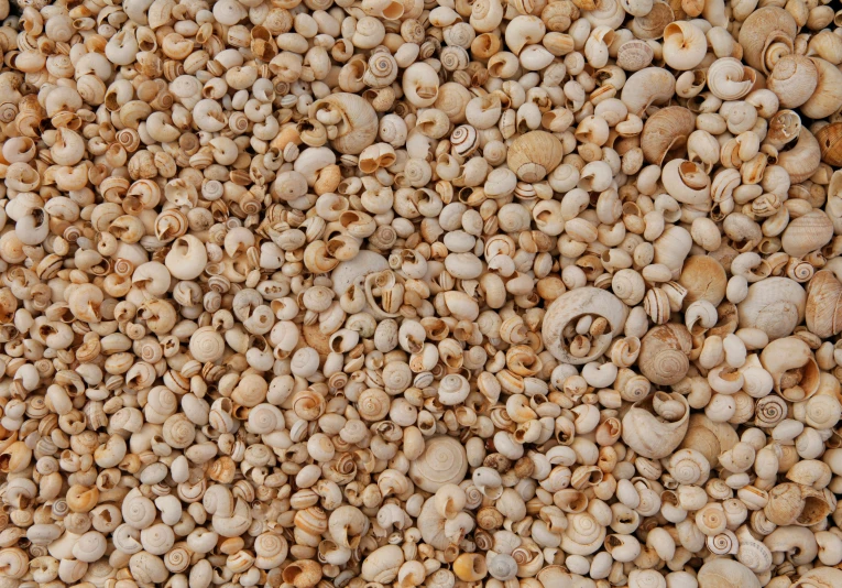 a big pile of little rocks with many holes