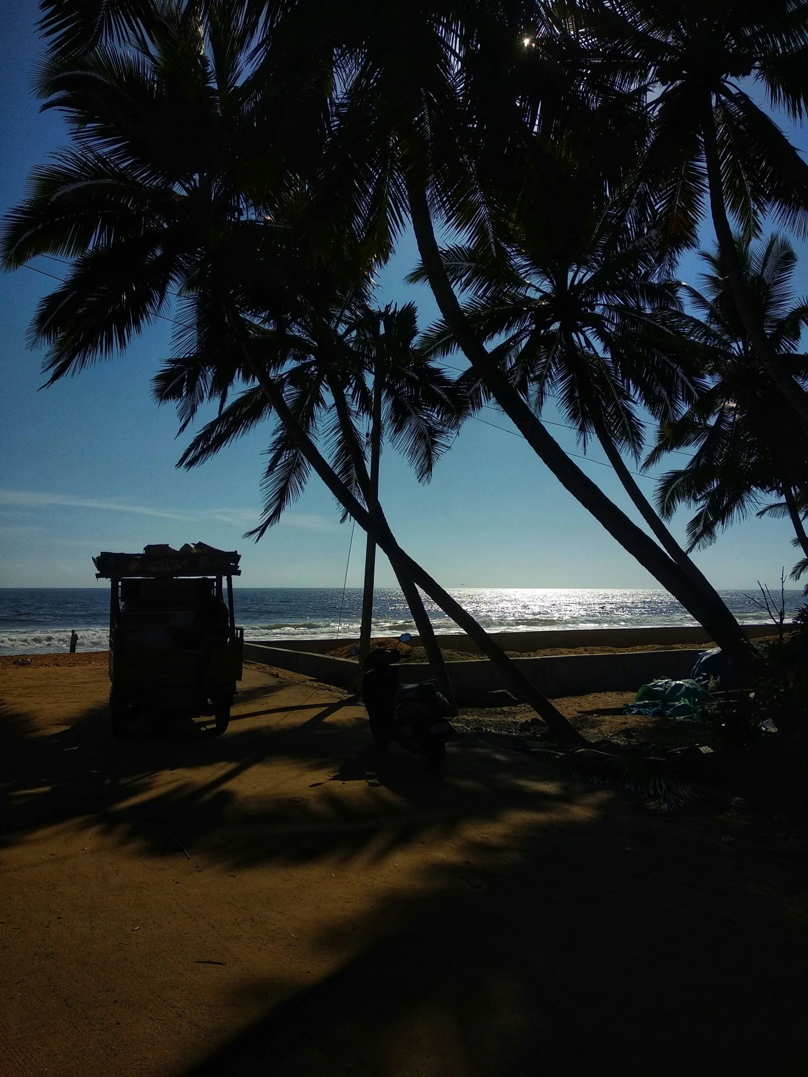 a truck parked under the shade of a tree next to the ocean