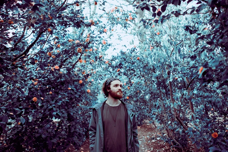 a man standing in an orange grove under a tree