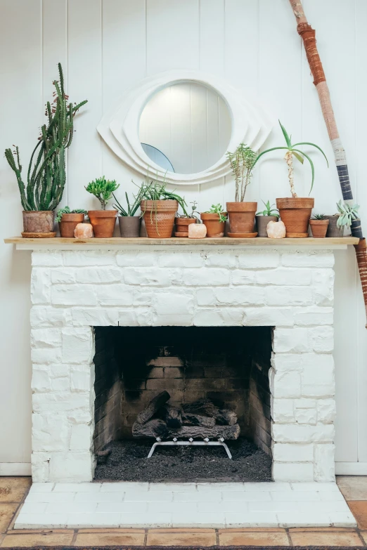 a fireplace that has potted plants on top of it