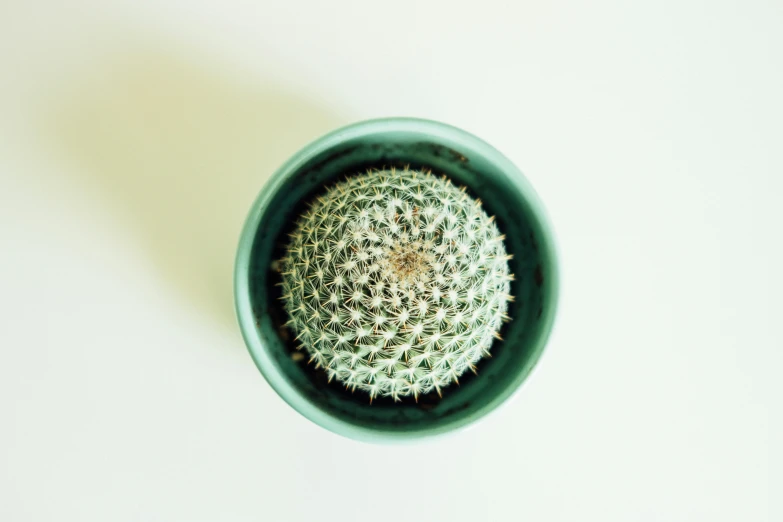 a small round container filled with lots of white stuff