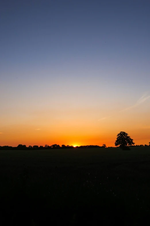 sunset over a wide field with trees