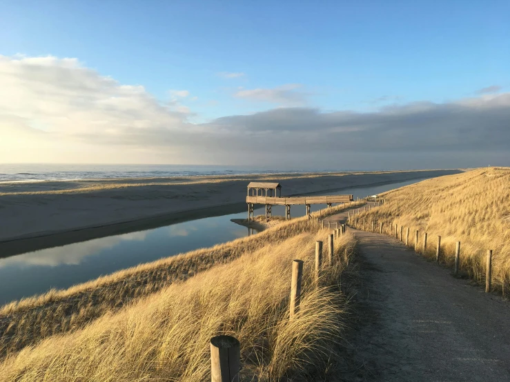 a boardwalk sitting between some grass and water