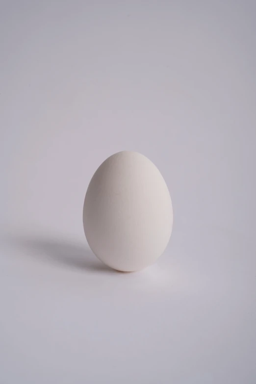 a white egg on the side of a grey background