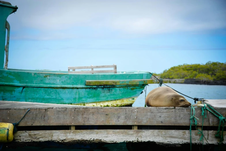 a green boat sitting on the dock near water