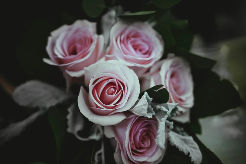 a bouquet of pink roses on a table