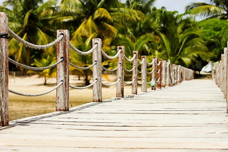 the walkway is made of wood and is next to a beach