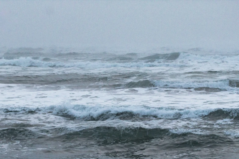 a bird sitting on top of a wave covered beach