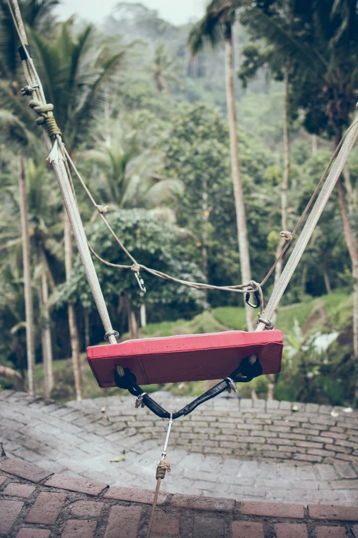 a red bench in the middle of a forest