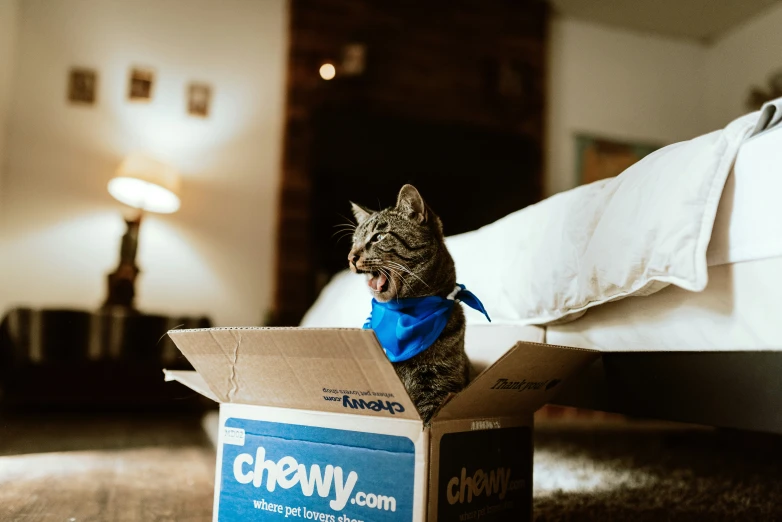 a cat sitting in a box with its tongue sticking out