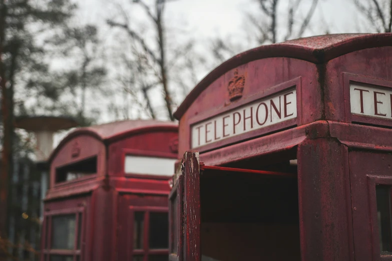 a group of two red telephone boothes in front of a tree